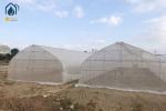 Agriculture Tunnel Greenhouse Galvanized Steel Frame Single Span Greenhouse