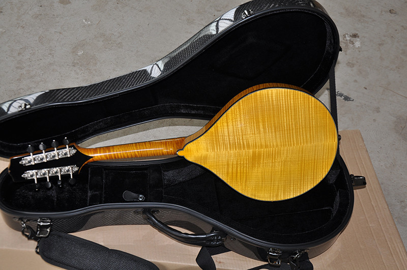 Factory custom Handmade custom advanced 8 strings mandolin electric guitar with ebony fretboard