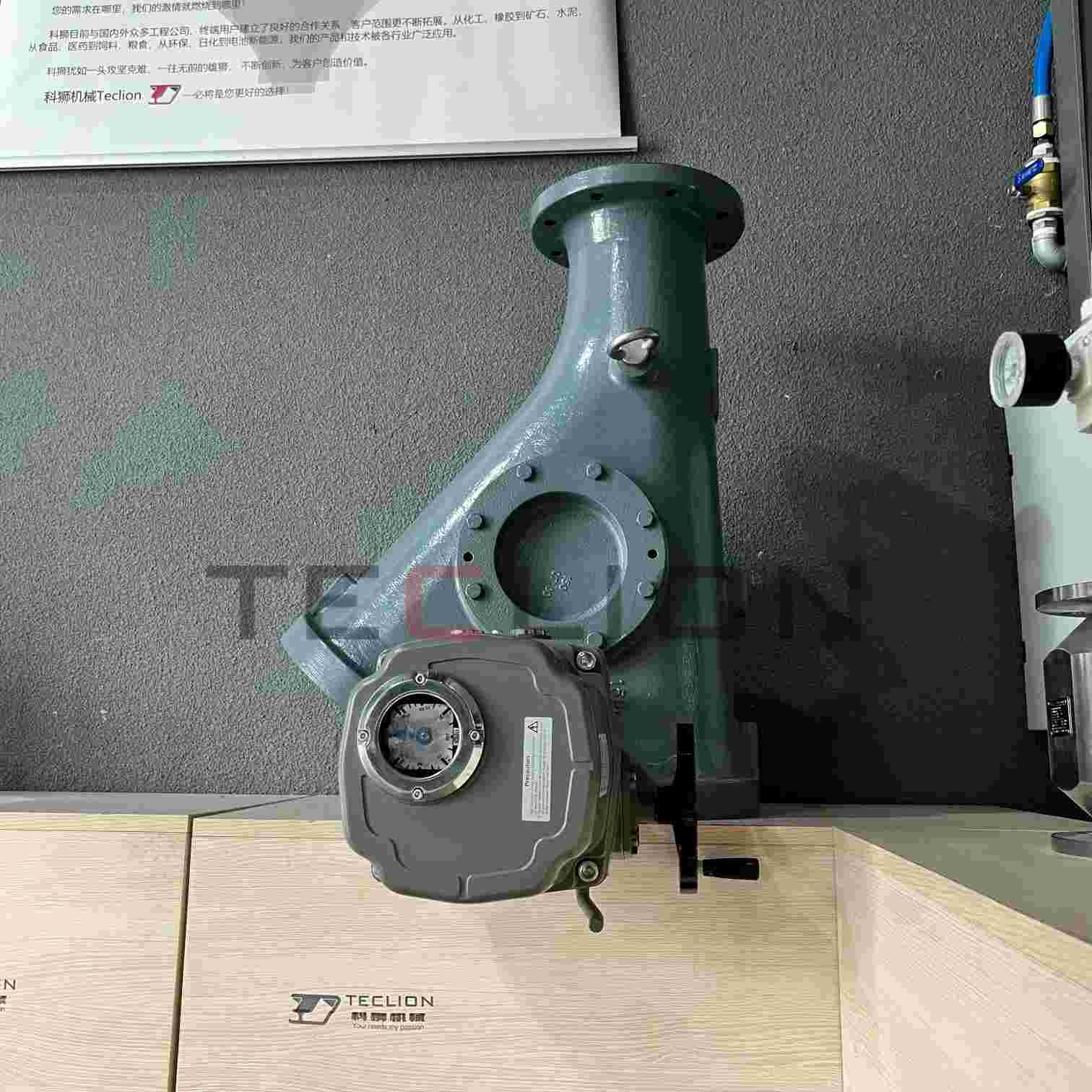 Pendulum type Diverter valve for dense or dilute phase transportation
