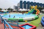 Elephant Inflatable Amusement Park Bounce House Medium Size Commercial Grade