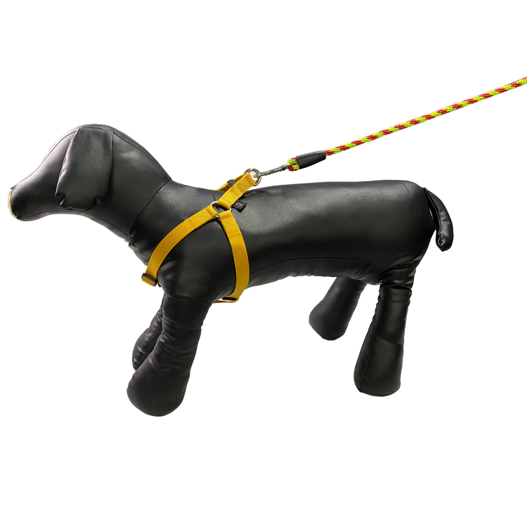 Custom Polyester Pet Traction Rope Metal Clips Double Dog Leash