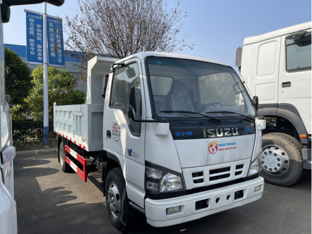 Used 3t Tipper Truck ISUZU 4*2 Small Dumper Euro 4 Multi Leaf Springs 5 Speed Gear