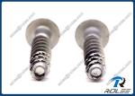 Rupert Plated 410 Stainless Steel Heavy Duty Self-tapping Concrete Screws