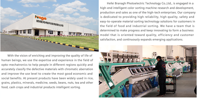 10 Chutes High Output Grain Color Sorter Equipped With Visible Sight Mirror