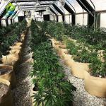 Medical Growing Blackout Light Dep Green House 9X32M Tunnel Greenhouse