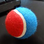 christmas dog toys