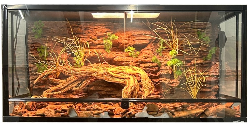 Natural Texture Reptile Cage Background Flameproof Customizable For Snack
