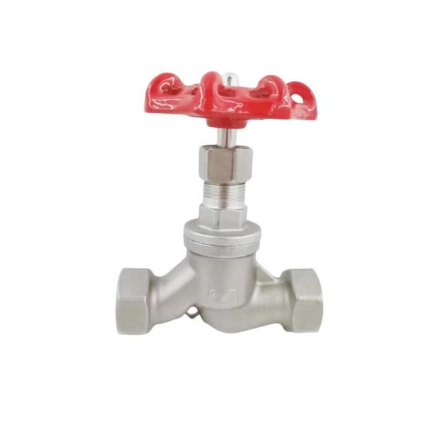 Standard Industry Stainless Steel Water Globe Valve J11W-16P Straight Through