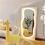 Asymmetrical Backlit Tall Lighted Mirror Floor Length Custom
