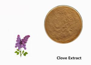 Quality Brown Clove Flower Plant Extract Powder For Food Additive wholesale