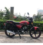 alpha Hot sale cheap high quality 4 strokes moped bike moped 50cc electric city