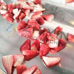 Frozen Dried Jujube Processing Equipment Freeze Drying Machine