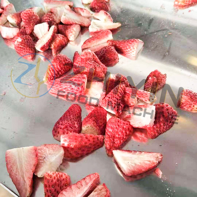 Food freezing dryer Fruit Slices freeze drying fruit powder freeze dried vegetable