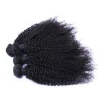 Brazilian Virgin Kinky Curly Raw Hair Bundles Cuticle Aligned 10A Grade