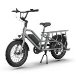 Extra Large Capacity Home Electric Bike with 48V500w High Power Motor and
