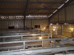 9 Tiers Q235 Layer Chicken Cage Poultry Field Chicken Cage