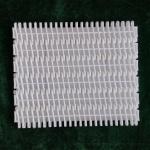 900 Series Grid Type Conveyor Modular Belt for Vegetable Transferring