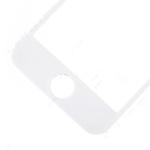 For OEM Apple iPhone 5 Glass Lens Replacement - White
