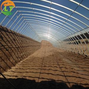 Quality Hydroponic System Included High Strength Solar Greenhouse for Vegetable Fruits Flowers wholesale