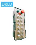 Twelve-way single speed switch industrial remote control