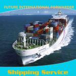 Reliable Shenzhen / Guangzhou / Hong Kong /Foshan Shipping Agent