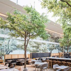 Quality 2M Height Artificial Landscape Trees Ficus Plant Store Ornaments wholesale