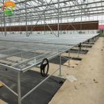 High Yield Hydroponic Greenhouse for Tomatoes Vegetables and Flowers in Any