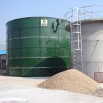 Chicken Manure CSTR Tank Livestock Continuous Stirred Tank Reactor