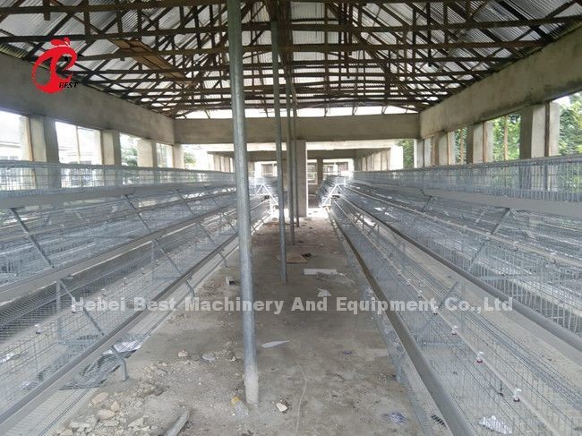 A Or H Type Automatic And Manual Poultry Farming Cage System Design For Chicken Poultry Farming Sandy