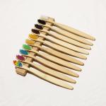Vegan Truly Eco Friendly Fully Compostable Toothbrush BPA Free