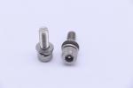 Cylindrical Head Stainless Steel Screw Plum Blossom Anti Theft SS316 3/8-24X1"