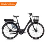 36v 10ah Electric City Bike Hub Motor Lithium Battery