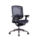 Ergonomic Full Mesh Executive Chair Adjustable Lumbar Support Chair