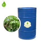 Skin Revitalizer Organic Cold Pressed Neem Oil 100% Pure