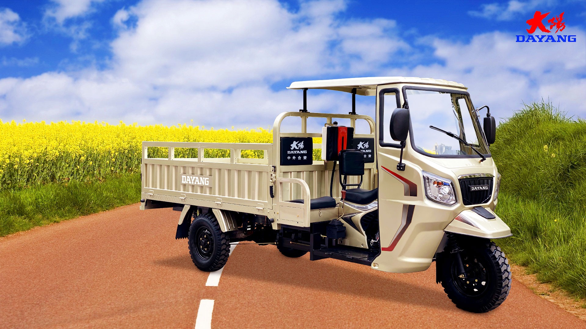 250cc 300C Cargo Tricycle Motorized Tricycle Gasoline 3 Wheels Motorcycle in Rose Gold
