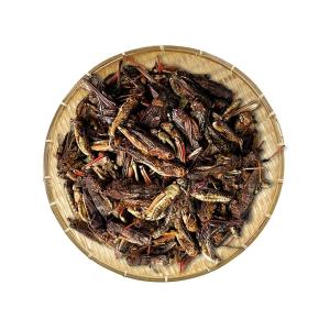 Quality Dried Grasshopper/bird food/animal feed wholesale