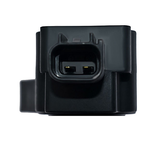 Auto parts OEM 6E5Z12029AA 6E5G-12A366-AD 029700-8391 1404981 1716750 ignition coil price For Ford