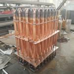 SS304 Seasoning Vacuum Freeze Drying Machine Cold Brew Coffee Dryer Machine
