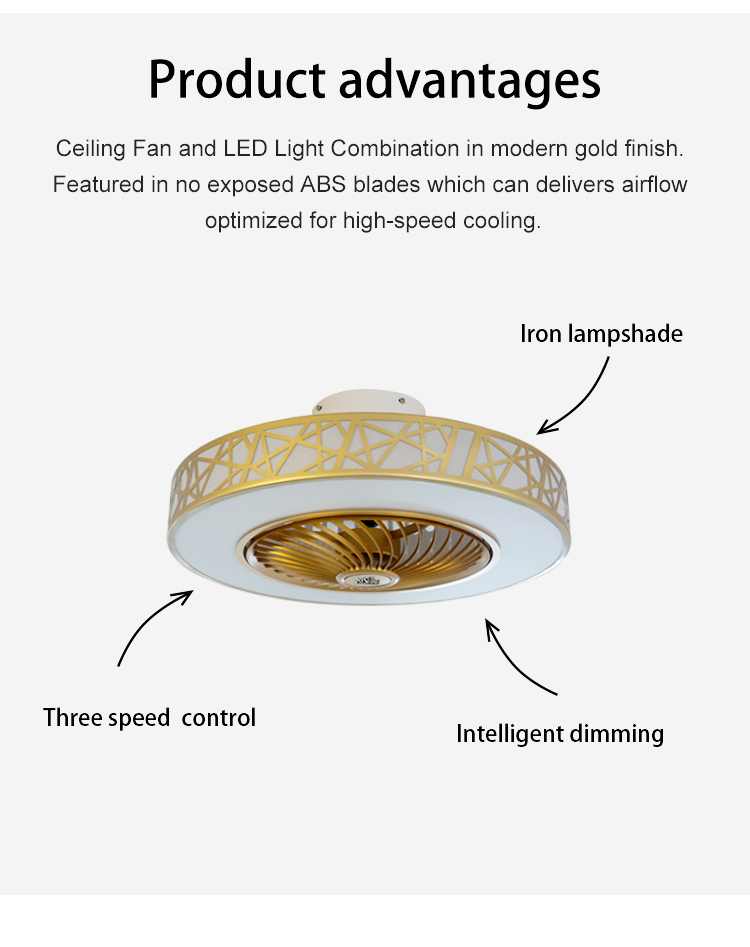 Low Ceiling 1stshine LED Ceiling Fan with Hidden Blades and Product Weight（kg） 4.55