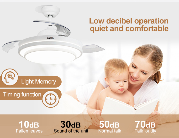 42 Inch LED Ceiling Fan with Hidden Blades and Metal Acrylic Material by 1stshine