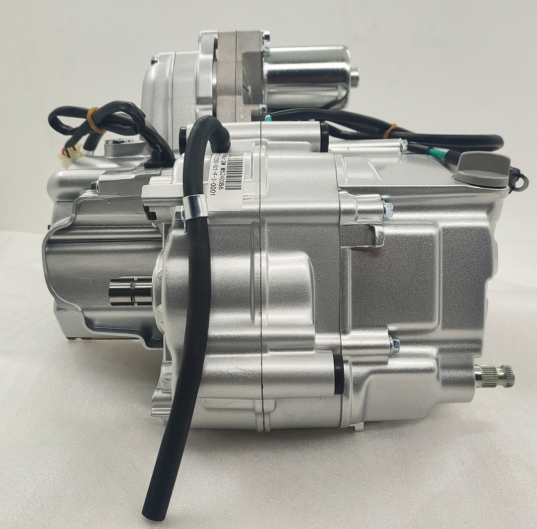 Complete Motorcycle Nature 110CC Engine Cylinder Style A Class Origin Ignition CCC