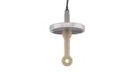 E+H Germany product CLS50D-AA1C31 Digital conductivity sensor Indumax conductivi