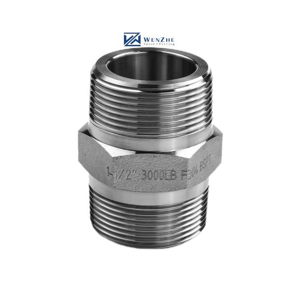 SS304 316 316L High Pressure Forged Hex Nipple 300 bar Male Thread Equal