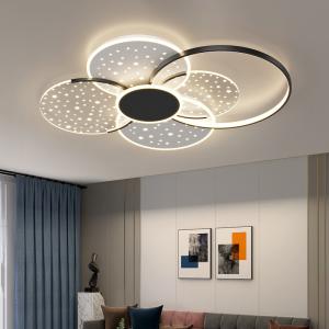Quality Modern Minimalist Ceiling Lamps Living Room Designer Hall Nordic Luxury Starry Ceiling Lamps(WH-MA-282) wholesale
