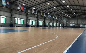 Quality Custom Prefabricated Steel Structure Building Stadium Gym Sports Hall Gymnasium wholesale