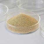 Food Grade Neutral Protease,Food Grade Enzyme Preparations