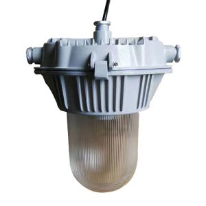 Quality Anti Static Oil Field Explosion Proof Lighting For Hazardous Location Zone 1 wholesale