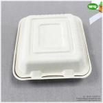 8x8 Inch Three Compartments Compostable Sugarcane Fiber Disposable Lunch Box