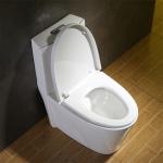 Mainstream Elongated Cupc Toilet Perfectly Terrific Lines American Standard