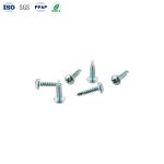 OEM Carbon Steel Galvanized Cross Disc Head Drill Tail Screw Custom Fasteners